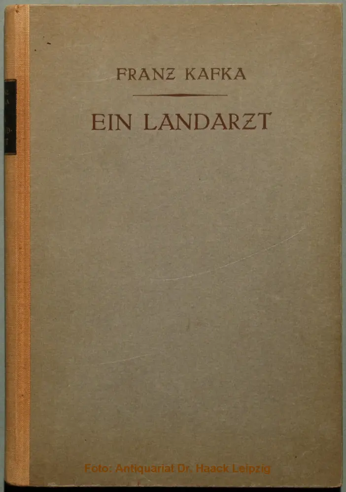 طبيب ريفي (Ein Landarzt)